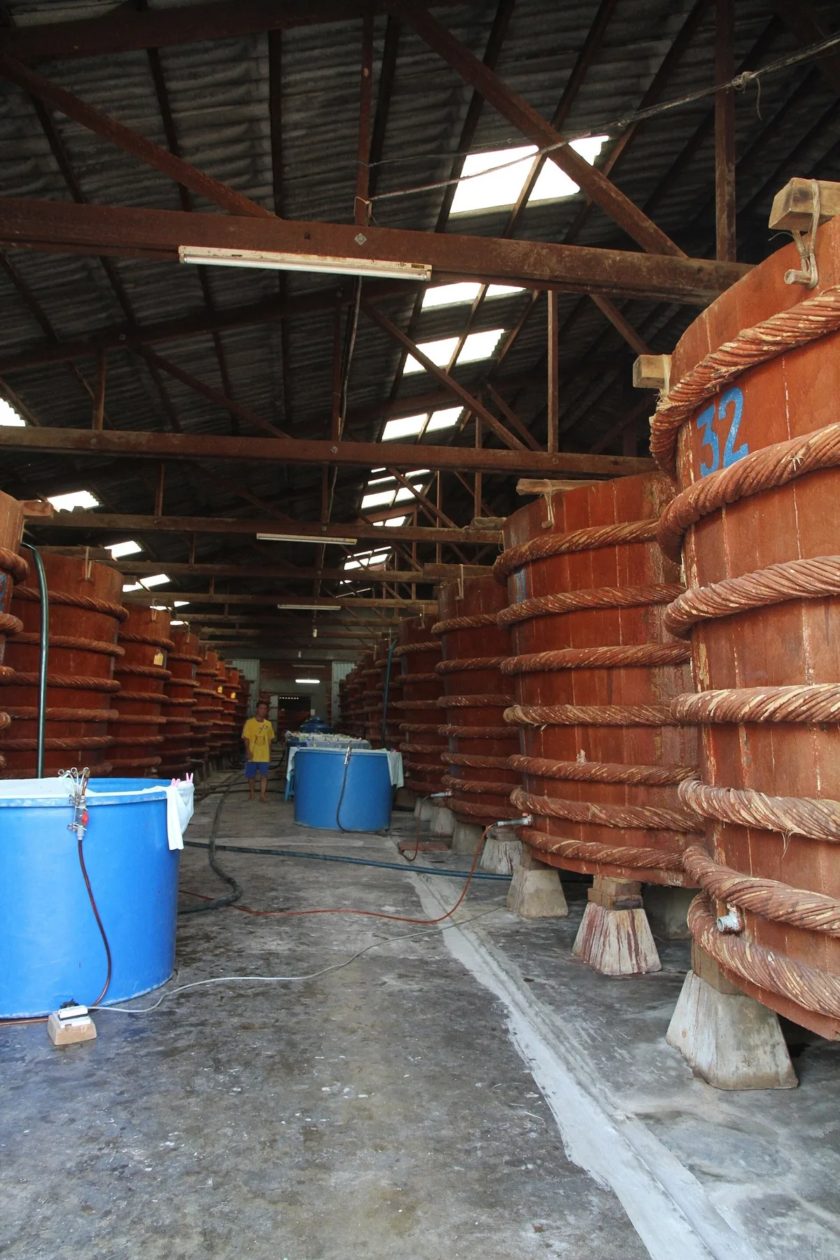 Những thùng gỗ lớn lên men nước mắm truyền thống trong xưởng sản xuất ở Phú Quốc, Việt Nam.
